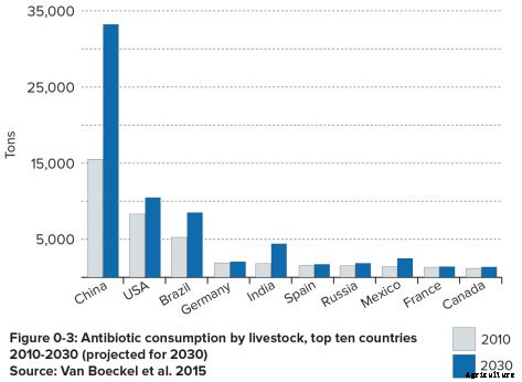 New Report Tracks Rise of Antibiotic Resistance in Humans and Livestock