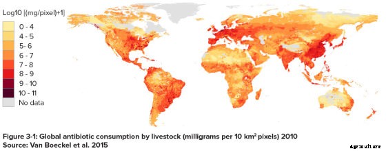 New Report Tracks Rise of Antibiotic Resistance in Humans and Livestock