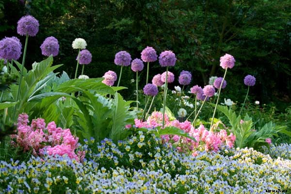 5 Ways to Landscape with Edible Plants this Fall