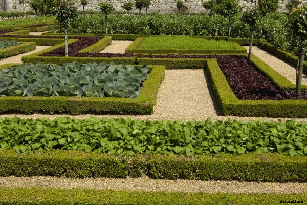 5 Ways to Landscape with Edible Plants this Fall