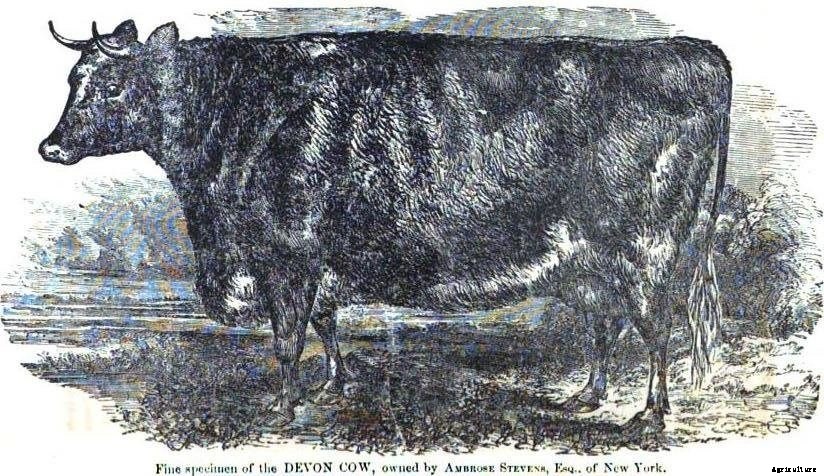 3 Vintage “Modern Farmer” Publications”And What We Can Still Learn From Them