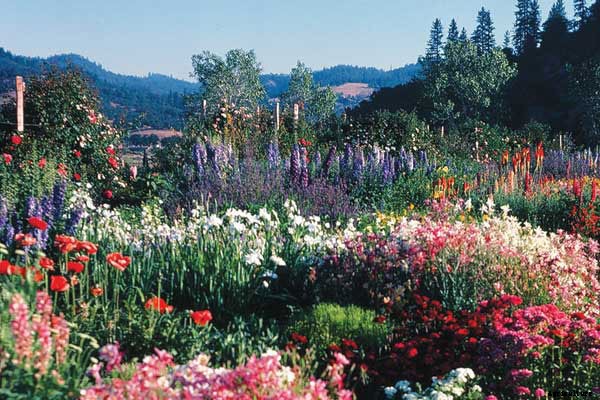 Meet Alan Chadwick, The High Priest of Hippie Horticulture