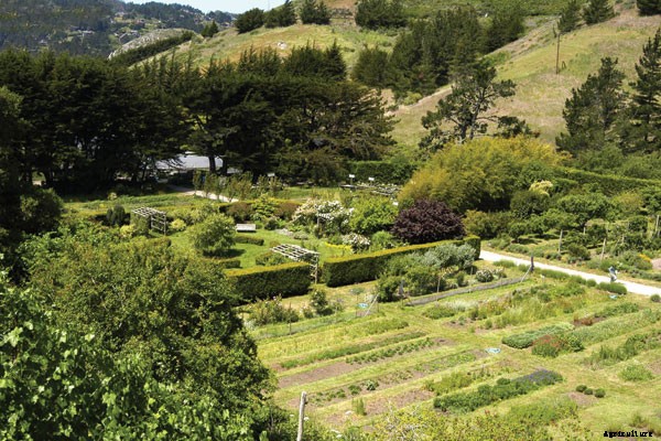 Meet Alan Chadwick, The High Priest of Hippie Horticulture