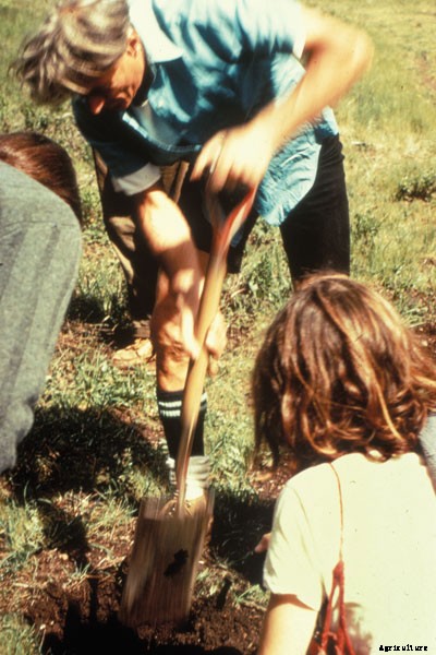 Meet Alan Chadwick, The High Priest of Hippie Horticulture