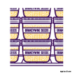 How to Grow Your Own Tomatoes, Part 6: Saving Seeds