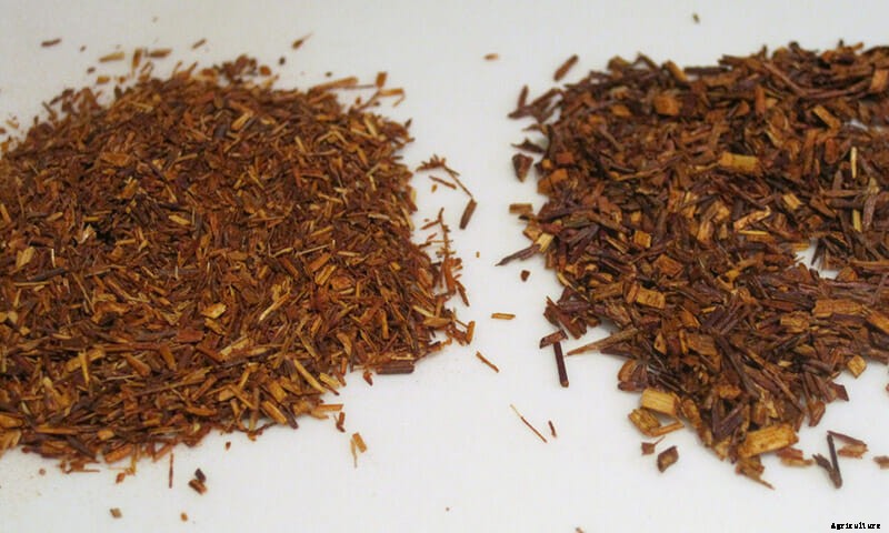 Born to Be Wild: 6 Crops that Resist Being Tamed