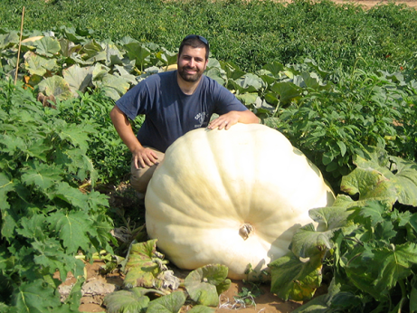 Scientists Figured Out Why Beefsteak Tomatoes are So Huge