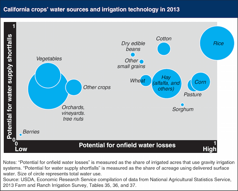 The Drought: Which Crops Will Survive
