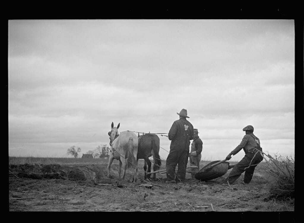 Six Vintage Pictures of Farmers Planting