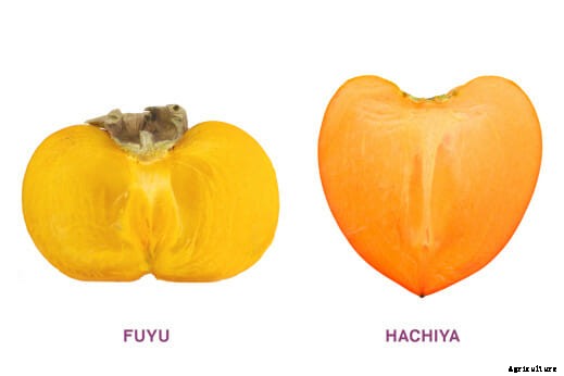 Persimmons, the Apples of Asia