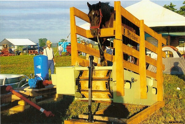 The Economical Equine: How Horse Treadmills Became a (Very) Niche Thing