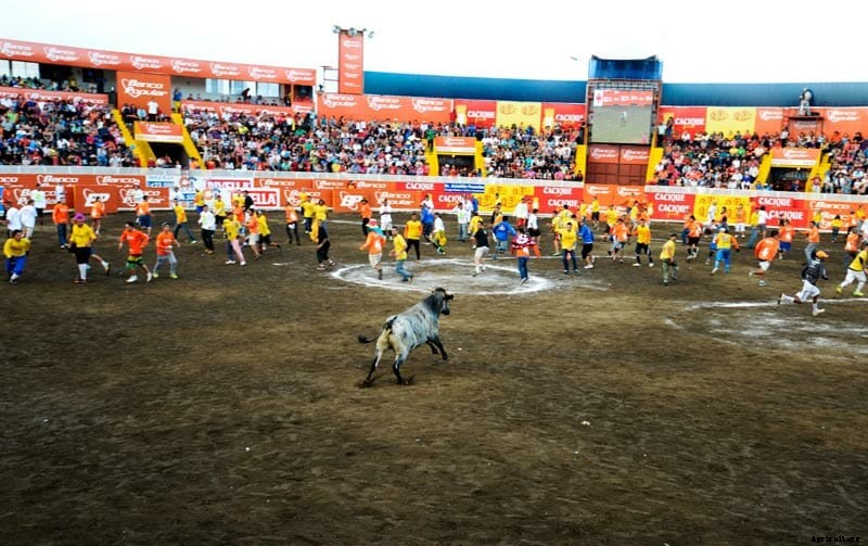 Photo Essay: Bullfighters of Costa Rica