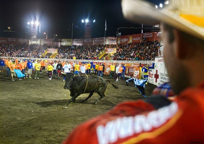 Photo Essay: Bullfighters of Costa Rica