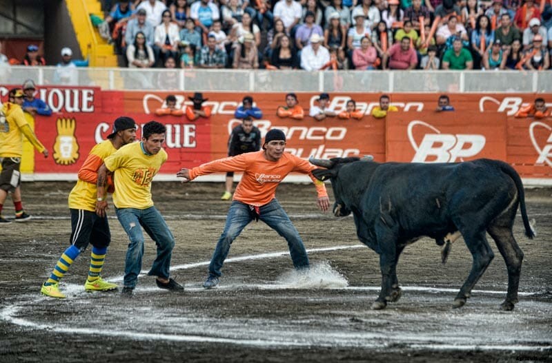 Photo Essay: Bullfighters of Costa Rica