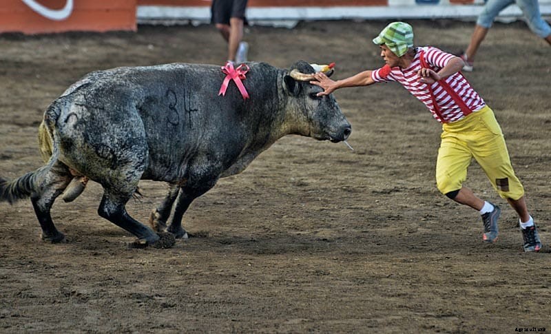Photo Essay: Bullfighters of Costa Rica
