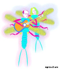 Rock Stars of the Bug World