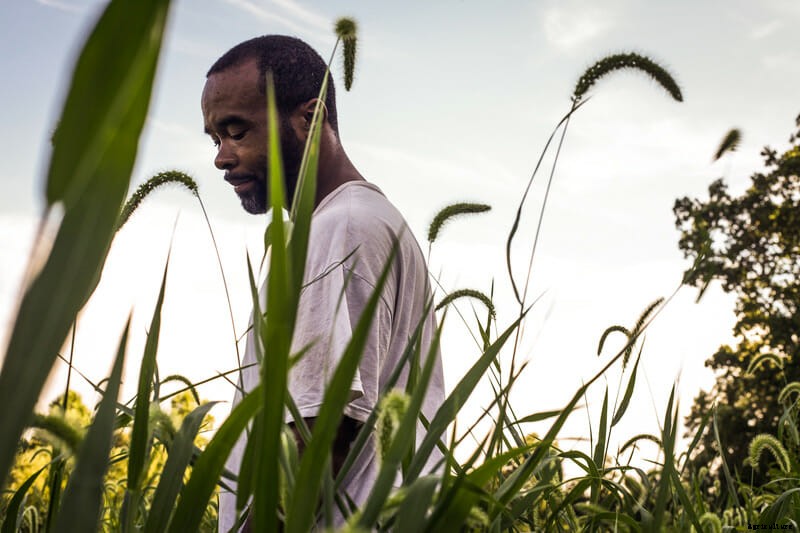 Photo Essay: Urban Gardens in Asheville