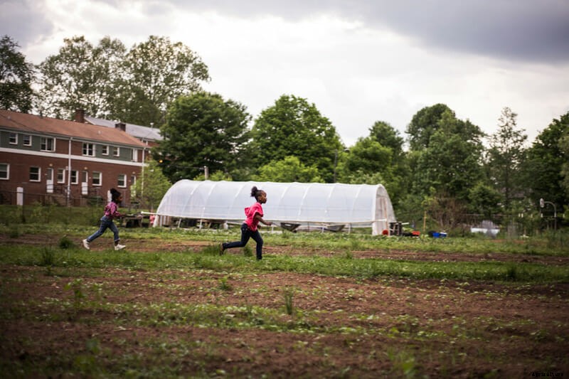 Photo Essay: Urban Gardens in Asheville