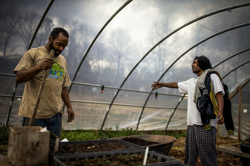 Photo Essay: Urban Gardens in Asheville