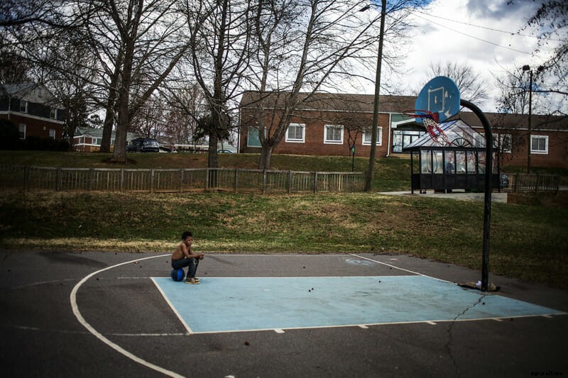 Photo Essay: Urban Gardens in Asheville