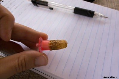 Honeybees: Keep on Survivin’