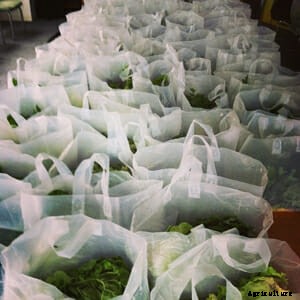 Farm Confessional: I Deliver CSA Veggies in Manhattan