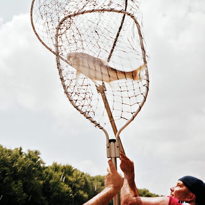 The World According to Carp