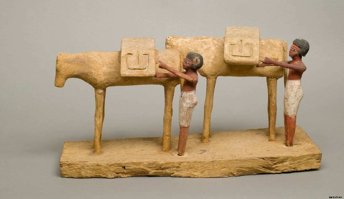 The Donkey as Artistic Muse