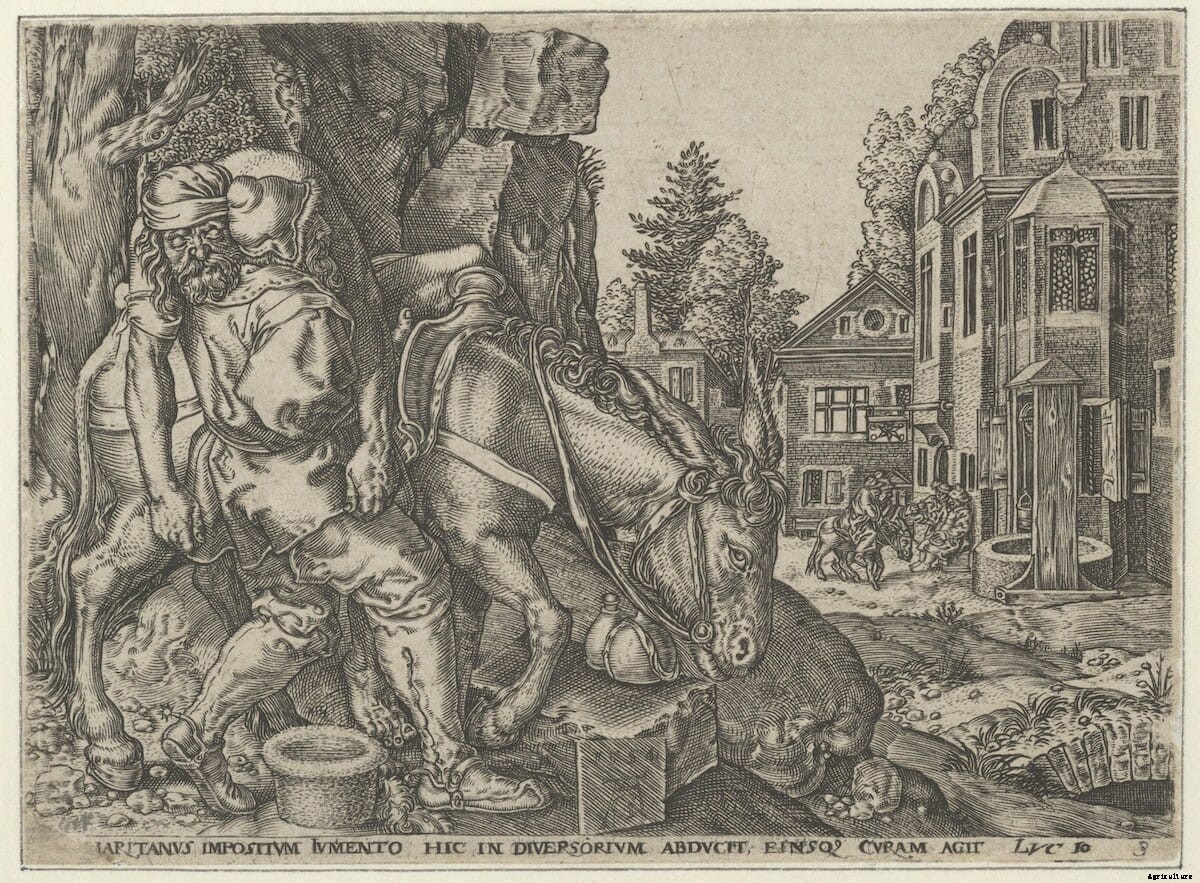 The Donkey as Artistic Muse