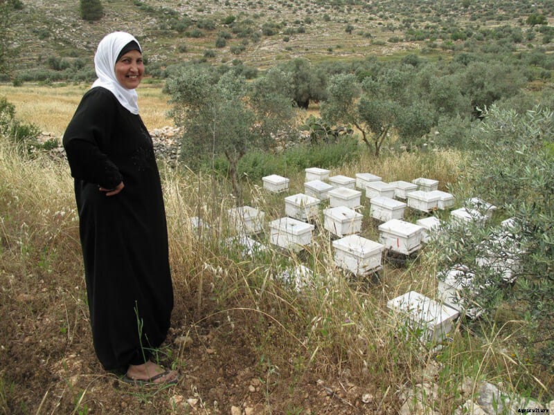 A Tree Grows in Gaza