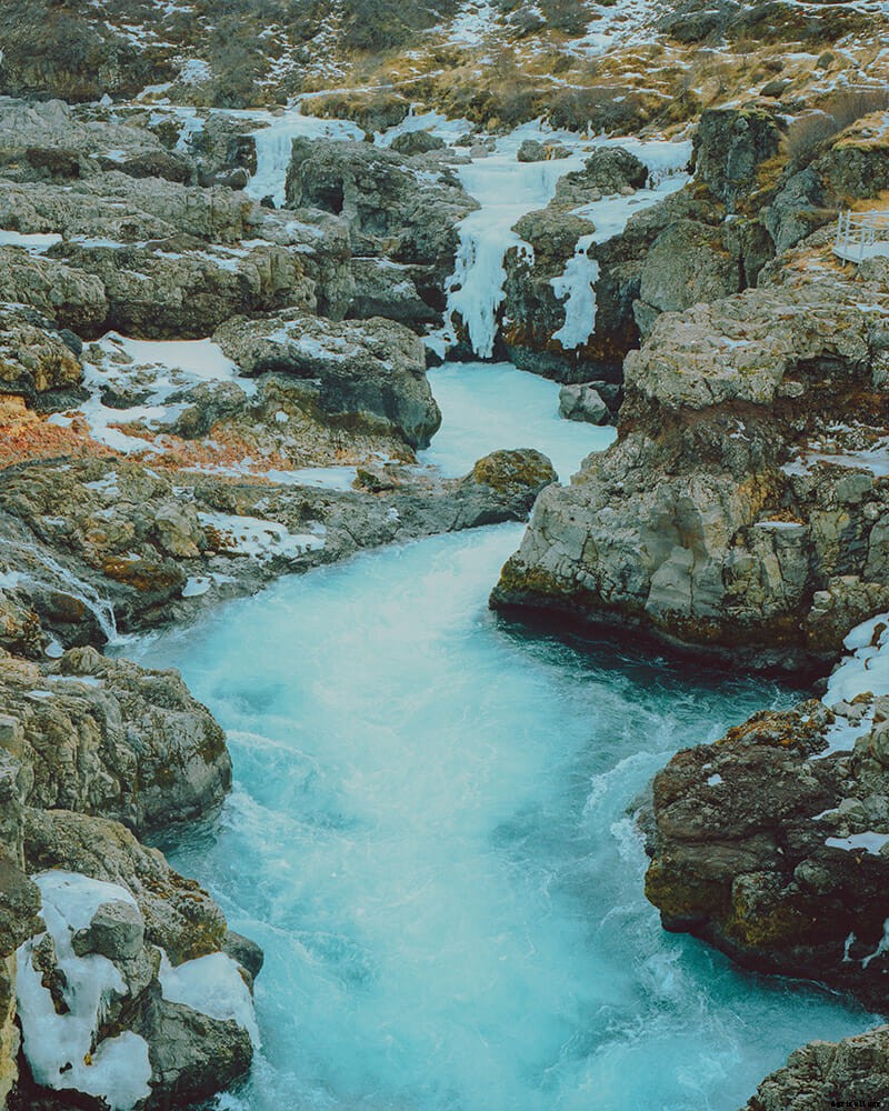 The Frozen Banana Republic