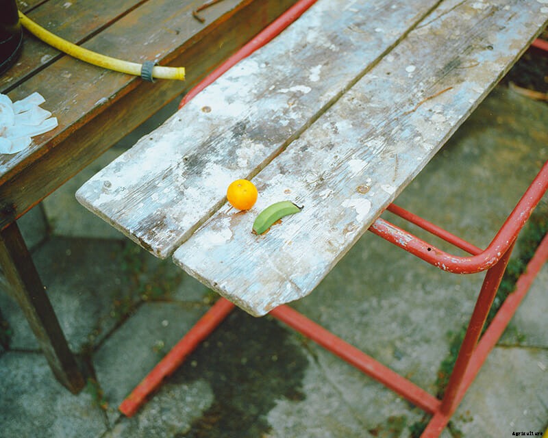 The Frozen Banana Republic