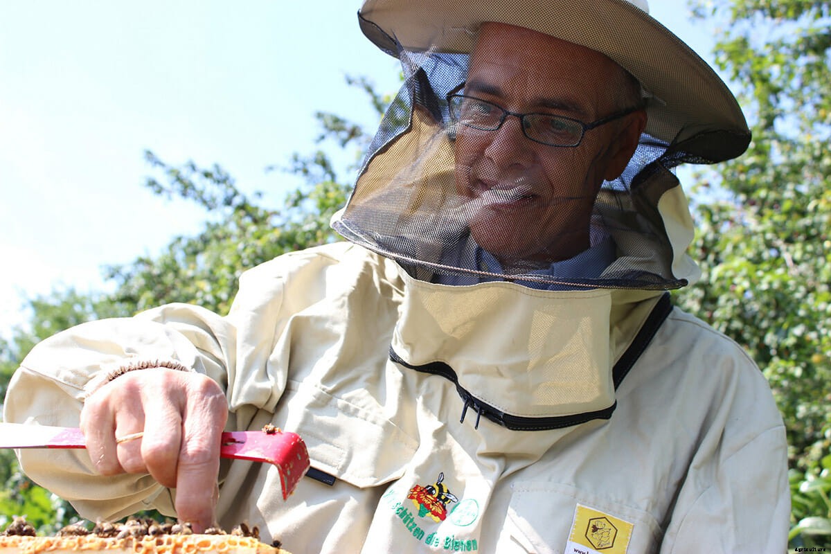 Are These Nicotine-Like Insecticides Killing Bees?