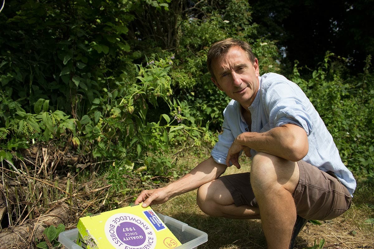 Are These Nicotine-Like Insecticides Killing Bees?