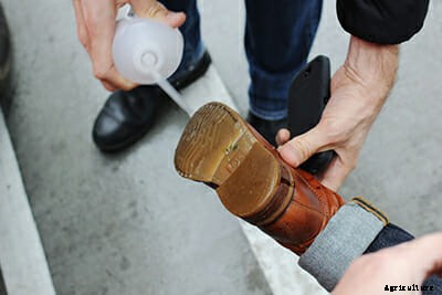 The Secrets Botanists Keep