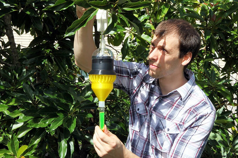 Pest-Plagued Florida Scientists Design 3-D Printed Insect Traps