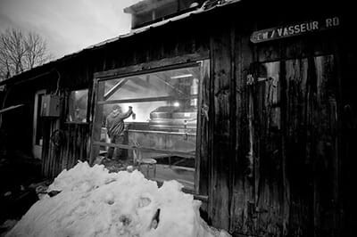 Adopt a Tree, Help a Farm