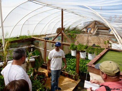 Swimming Pool Farms: Going Off the Deep End in Arizona