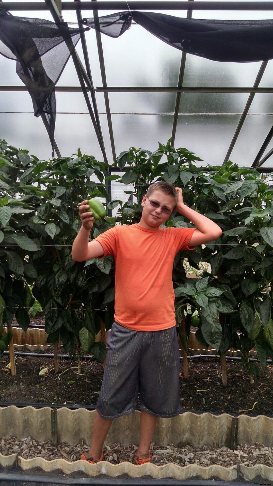 Giant Pumpkin Champion Aims To End World Hunger With His New Invention: The BroGro