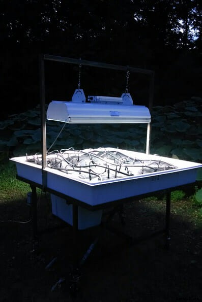 Giant Pumpkin Champion Aims To End World Hunger With His New Invention: The BroGro