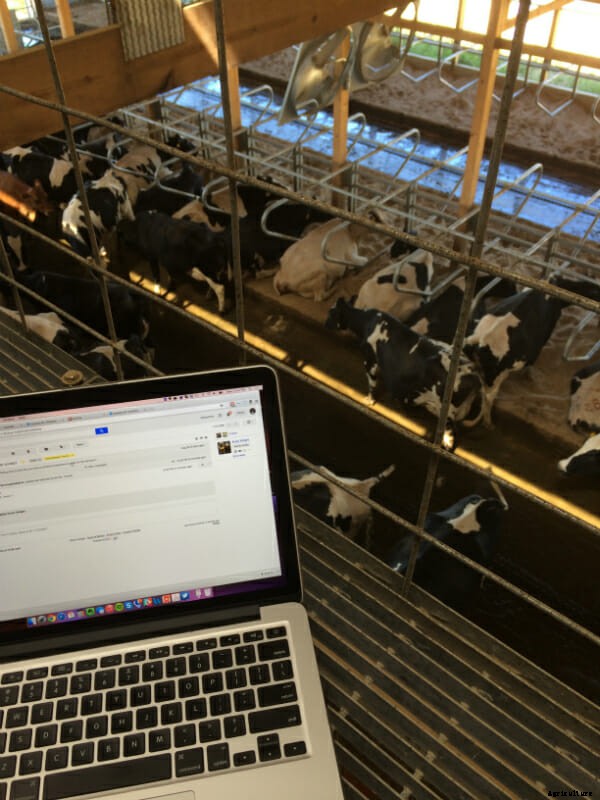 Behind the Scenes With the CowCam