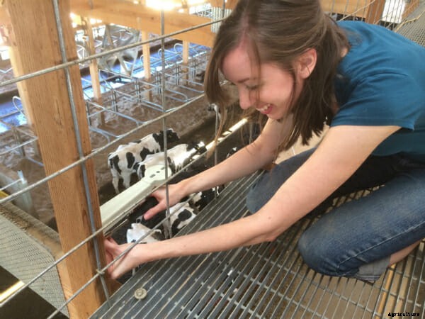 Behind the Scenes With the CowCam