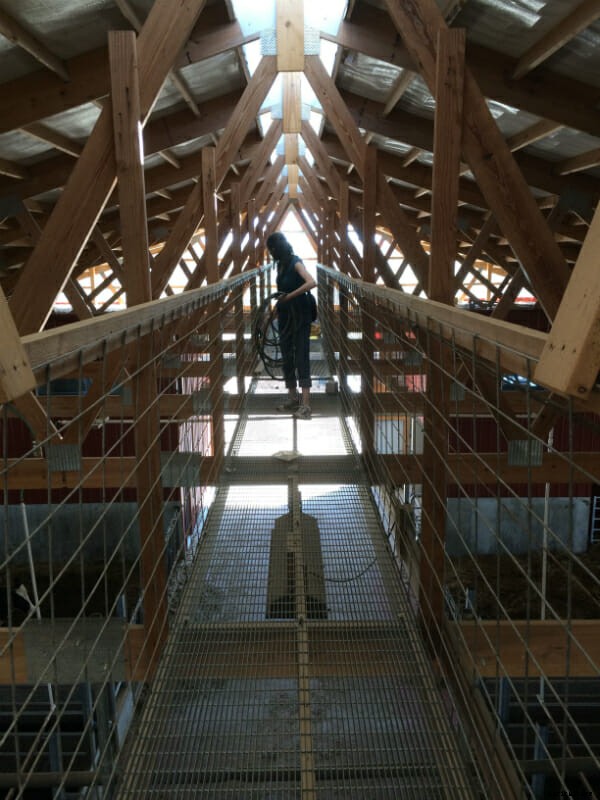 Behind the Scenes With the CowCam