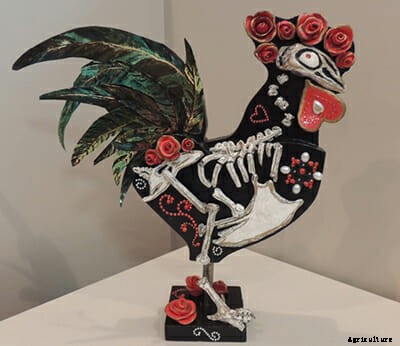 Free Range: California Town Celebrates Their Wild Chickens