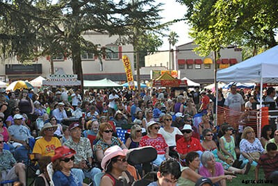 Free Range: California Town Celebrates Their Wild Chickens