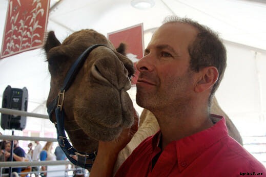 Getting Camel Milk Over the Hump