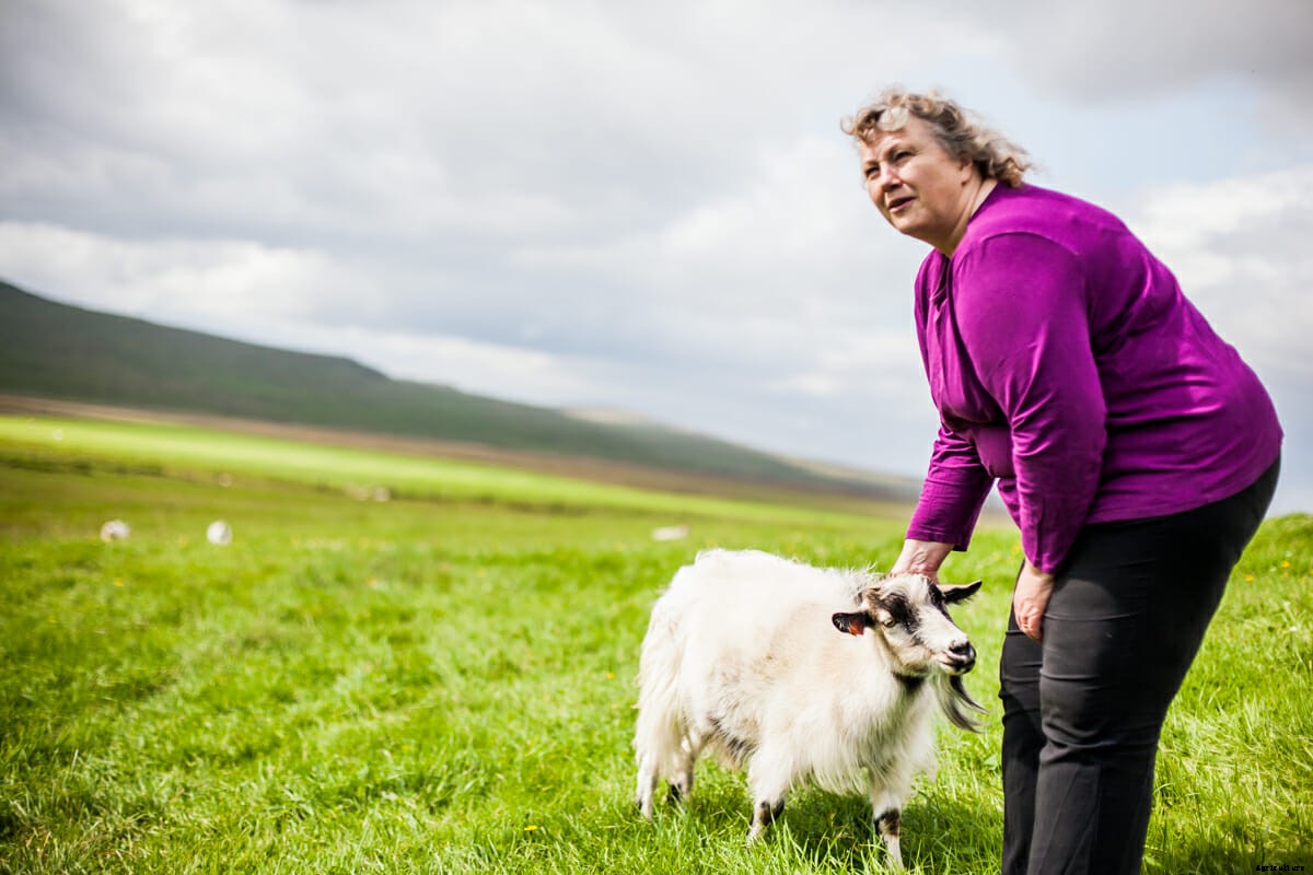 Photos: Fighting to Save the Icelandic Goat