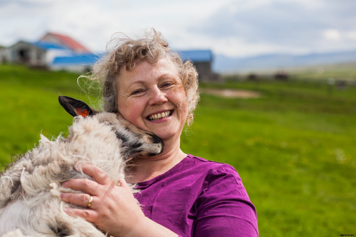 Photos: Fighting to Save the Icelandic Goat