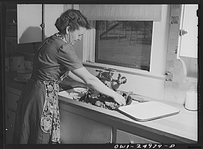 Turnip for What: 10 Vintage Pictures of Turnip Farming