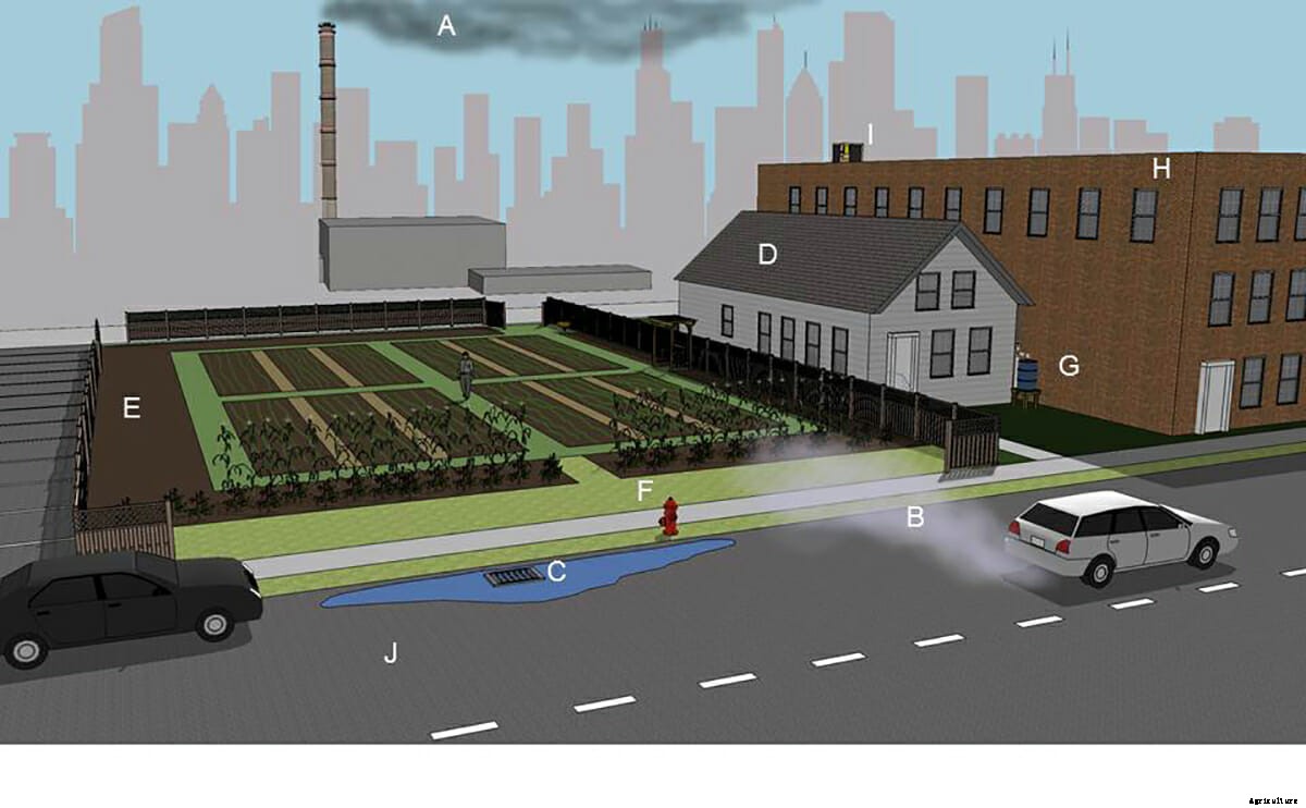 The Hidden Dangers of Lead in Urban Gardens